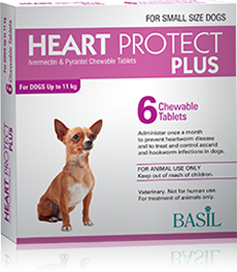 heart-dog-small-front